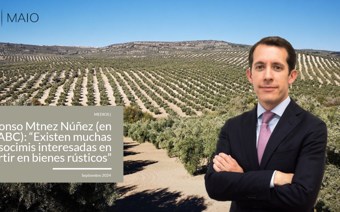 Alfonso Mtnez Núñez (en ABC): “Habría más operaciones de compraventa de fincas agrarias si las socimis pudieran invertir en bienes rústicos”