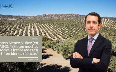 Alfonso Mtnez Núñez (en ABC): «Habría más operaciones de compraventa de fincas agrarias si las socimis pudieran invertir en bienes rústicos»