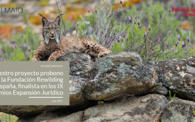 El Proyecto probono de MAIO Legal con la Fundación Rewilding España, finalista en los IX Premios Jurídicos de Expansión